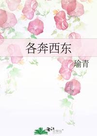 夏日网上购物
